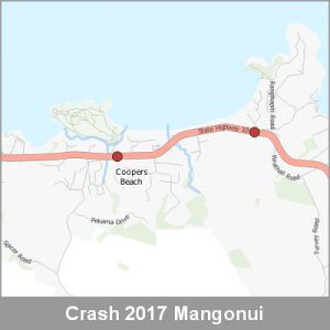 Crash Mangonui ProductImage 2017
