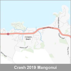 Crash Mangonui ProductImage 2019