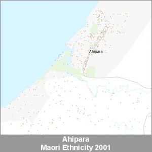Ethnicity Ahipara Maori ProductImage 2001