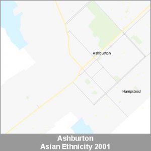 Ethnicity Ashburton Asian ProductImage 2001