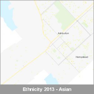 Ethnicity Ashburton Asian ProductImage 2013