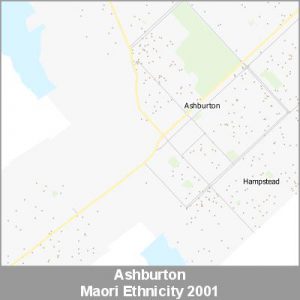 Ethnicity Ashburton Maori ProductImage 2001
