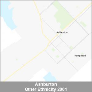 Ethnicity Ashburton Other ProductImage 2001