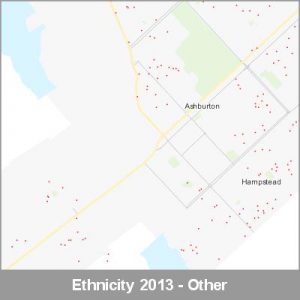 Ethnicity Ashburton Other ProductImage 2013