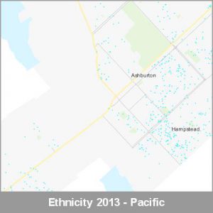 Ethnicity Ashburton Pacific ProductImage 2013