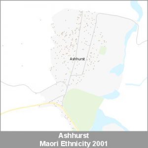 Ethnicity Ashhurst Maori ProductImage 2001