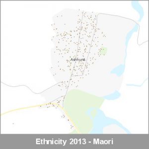 Ethnicity Ashhurst Maori ProductImage 2013