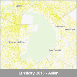 Ethnicity Auckland Asian ProductImage 2013