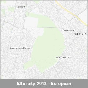 Ethnicity Auckland European ProductImage 2013