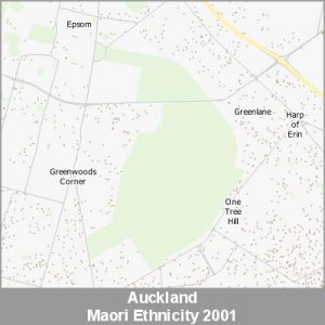 Ethnicity Auckland Maori ProductImage 2001