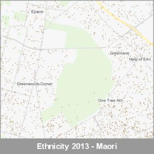 Ethnicity Auckland Maori ProductImage 2013
