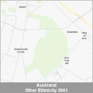 Ethnicity Auckland Other ProductImage 2001