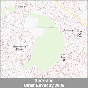 Ethnicity Auckland Other ProductImage 2006