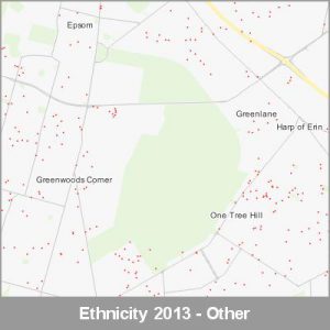 Ethnicity Auckland Other ProductImage 2013