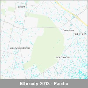 Ethnicity Auckland Pacific ProductImage 2013