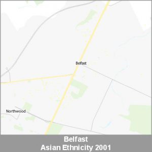 Ethnicity Belfast Asian ProductImage 2001