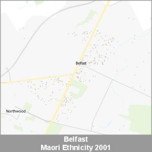Ethnicity Belfast Maori ProductImage 2001