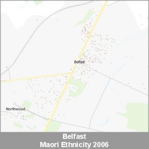 Ethnicity Belfast Maori ProductImage 2006