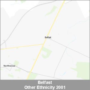 Ethnicity Belfast Other ProductImage 2001