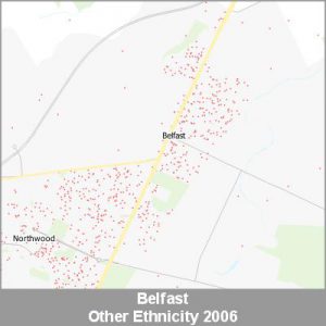 Ethnicity Belfast Other ProductImage 2006