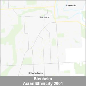 Ethnicity Blenheim Asian ProductImage 2001