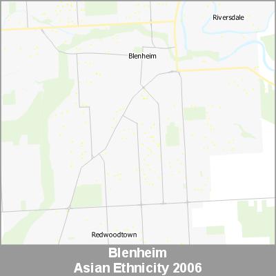 Ethnicity Blenheim Asian ProductImage 2006