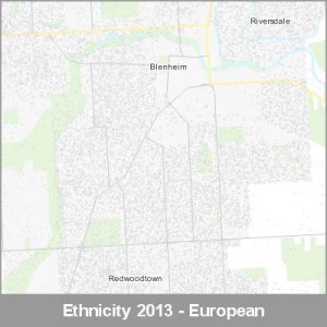Ethnicity Blenheim European ProductImage 2013