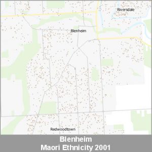 Ethnicity Blenheim Maori ProductImage 2001