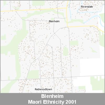 Ethnicity Blenheim Maori ProductImage 2001