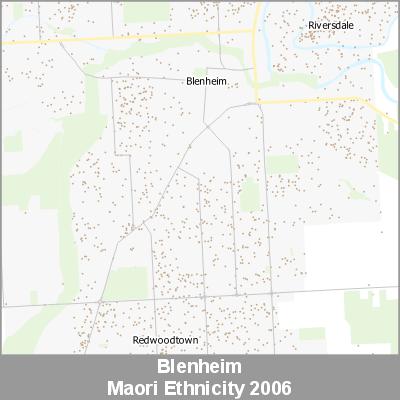 Ethnicity Blenheim Maori ProductImage 2006