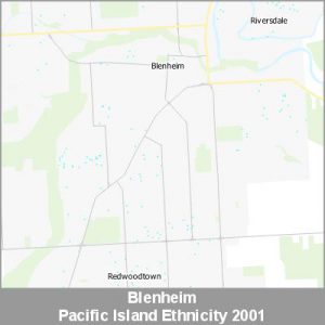 Ethnicity Blenheim Pacific ProductImage 2001