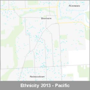 Ethnicity Blenheim Pacific ProductImage 2013