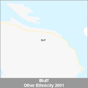 Ethnicity Bluff Other ProductImage 2001