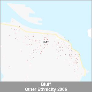 Ethnicity Bluff Other ProductImage 2006