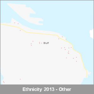 Ethnicity Bluff Other ProductImage 2013