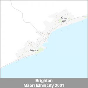 Ethnicity Brighton Maori ProductImage 2001