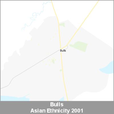 Ethnicity Bulls Asian ProductImage 2001
