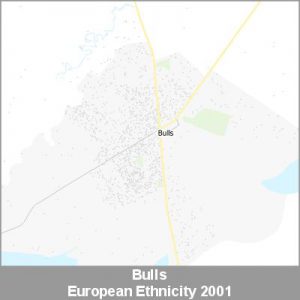 Ethnicity Bulls European ProductImage 2001