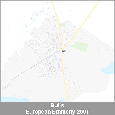 Ethnicity Bulls European ProductImage 2001