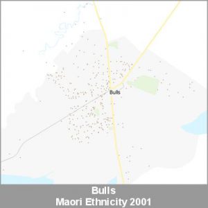 Ethnicity Bulls Maori ProductImage 2001