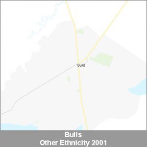 Ethnicity Bulls Other ProductImage 2001