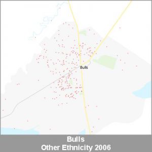 Ethnicity Bulls Other ProductImage 2006