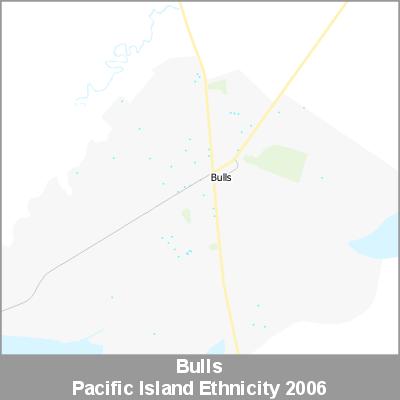 Ethnicity Bulls Pacific ProductImage 2006