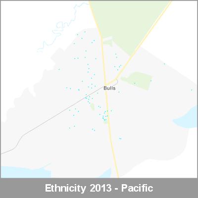 Ethnicity Bulls Pacific ProductImage 2013