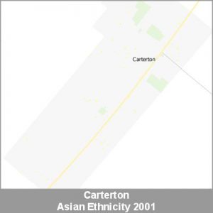 Ethnicity Carterton Asian ProductImage 2001