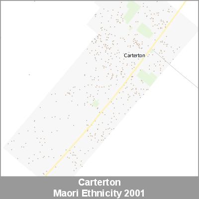 Ethnicity Carterton Maori ProductImage 2001