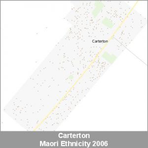 Ethnicity Carterton Maori ProductImage 2006