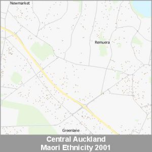 Ethnicity Central Auckland Maori ProductImage 2001