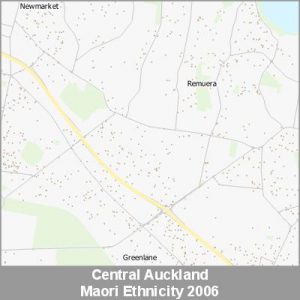 Ethnicity Central Auckland Maori ProductImage 2006