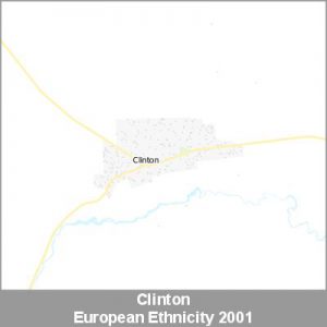 Ethnicity Clinton European ProductImage 2001